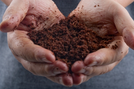 soil,handの写真素材