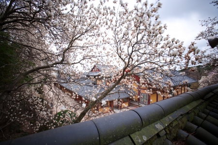 Temples in South Korea, Bulguksa ,のeditorial素材