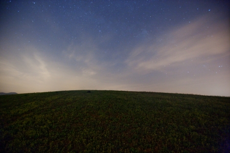 Beautiful ranch in South Korea,Seosan ranch の写真素材