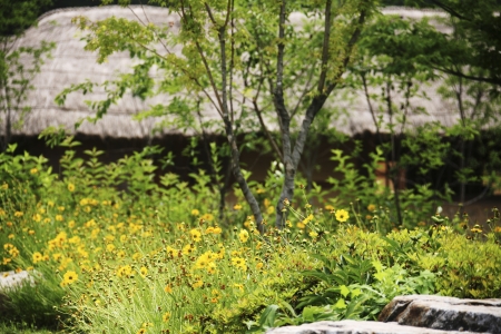 Traditional village in South Korea,Seonbichon""の写真素材