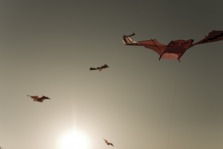 Traditional culture  in south Korea,kite flyingの写真素材