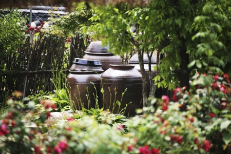 Traditional village in South Korea,Seonbichon""の写真素材