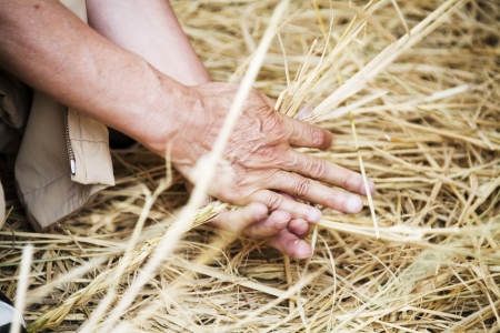 traditional festivals in south korea,Bupyeong"Pungmullori"Festival"の写真素材