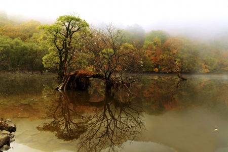 Autumn landscape with a beautiful Jusanji" in South Korea"の写真素材