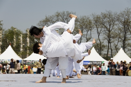 traditional martial arts in south korea,Taekkyeon  のeditorial素材