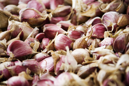 crops in south korea,Garlic の写真素材