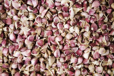 crops in south korea,Plum の写真素材