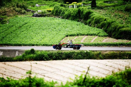 Rural landscape in South Koreaの写真素材