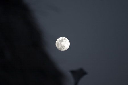 Full Moon Kite Festival in south korea, traditionalの写真素材