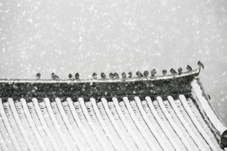 Winter landscape in south korea,Traditional Houses,Hanok""の写真素材