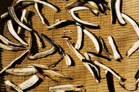 Crops in South Korea,dry eggplantの写真素材