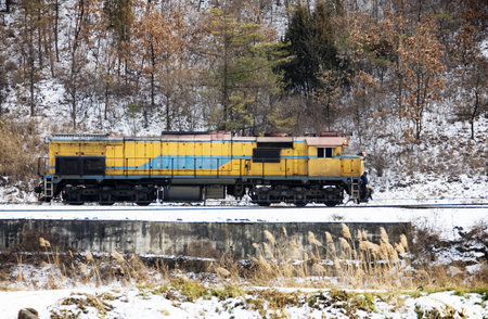 Freight Train