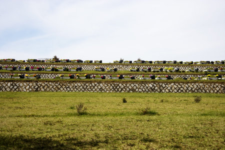 Cemetery in south koreaの写真素材