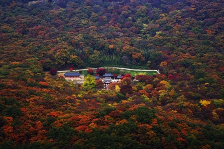 Autumn landscape with temples in south korea,naejangsa""の写真素材
