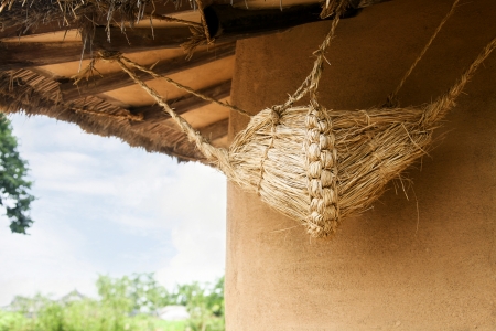 chicken houseの写真素材