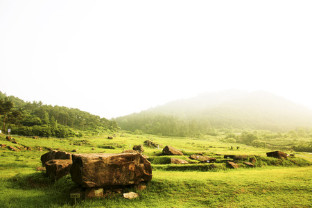 Historical district in South Korea,Dolmen Cemeteryの写真素材