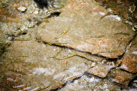 Valley of the Water