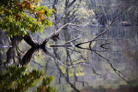 Autumn landscape with beautiful Jusanji" in South Korea"の写真素材