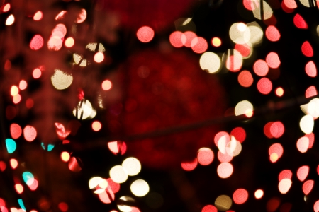 Christmas Tree Lighting lightsの写真素材