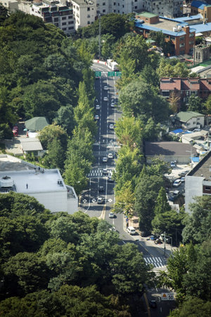 Namsan  Park