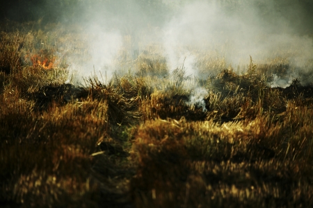 Farmers in the rural landscape Koreaの写真素材