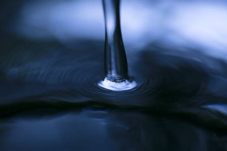  Stem waterの写真素材