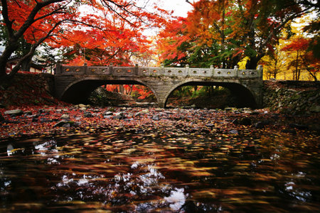 Autumn landscape with temples in south korea, seonunsa