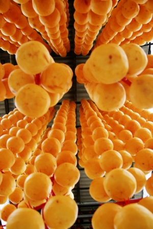 Dried persimmon Villageの写真素材