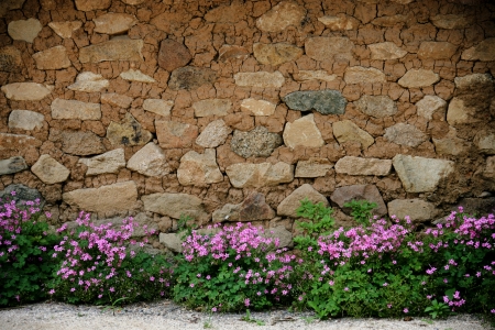ston wallの写真素材