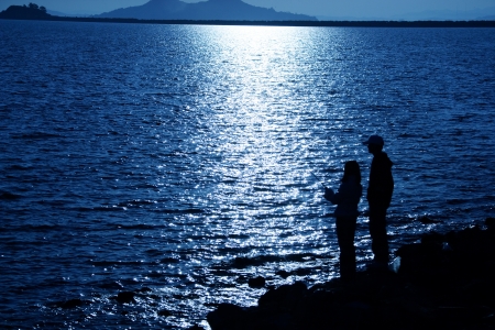 Dead migratory birdsの写真素材