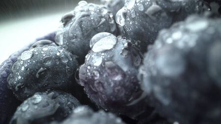 Wet fresh Blueberry background. raw organic tasty healthy food.の写真素材