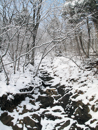 seoraksan national park during winter, Koreaの写真素材