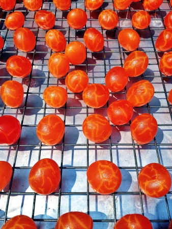 salted yolkの素材