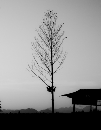 Silhouette of house and tree with moutain backgroundの写真素材