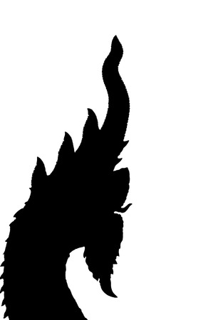 Dragon shadow with white backgroundの写真素材