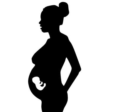 Vector illustration Belly of a pregnant woman with a glowing silhouette of the embryo in the wombの写真素材