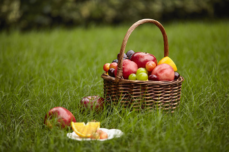 assorted fruits in a basket for picnic on grass.の写真素材