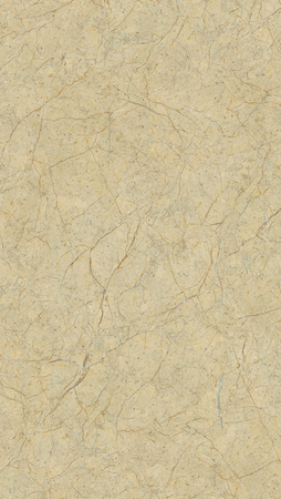 Detailed Natural Marble Texture or Background High Definition Scan Printの写真素材
