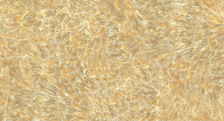 Detailed Natural Marble Texture or Background High Definition Scan Printの写真素材