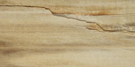 Detailed Natural Marble Texture or Background High Definition Scan Printの写真素材