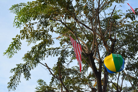 Tree with leaves, Christmas lights, lantern and banner in Antipolo, Philippinesの写真素材