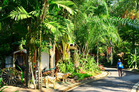 BANGKOK, TH - DEC 13: Path way at Dusit Zoo on December 13, 2016 in Khao Din Park, Bangkok, Thailand. Dusit Zoo is the oldest zoo in Bangkok, Thailand.のeditorial素材