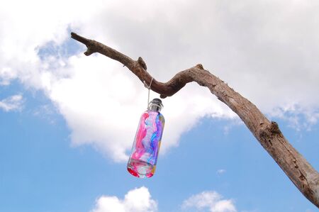 Hand painted empty glass bottle hanging in the branchの写真素材