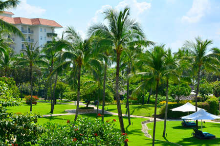 CEBU, PH-OCT. 8: Shangri-La's Mactan Resort and Spa outdoor coconut trees on October 8, 2016 in Lapu Lapu, Cebu, Philippines. Its upmarket beachfront resort is 8 km from Mactan-Cebu Int'l Airport.のeditorial素材
