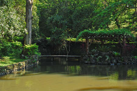 BATANGAS, PH - JULY 30: Fish pond at CCF Mount Makiling Recreation Center on July 30, 2019 in Santo Tomas, Batangas, Philippines.のeditorial素材