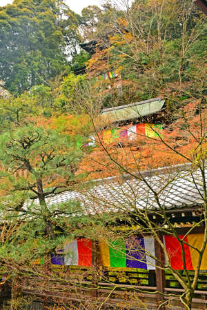 KYOTO, JP - APRIL 10 - Eikando Zenrinji temple on April 10, 2017 in Kyoto, Japan. Eikando formally known as Zenrinji Temple, belongs to the Jodo sect of Japanese Buddhism.のeditorial素材