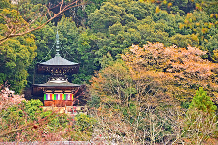 KYOTO, JP - APRIL 10 - Eikando Zenrinji on April 10, 2017 in Kyoto, Japan. Eikando formally known as...