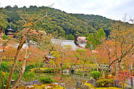 KYOTO, JP - APRIL 10 - Eikando Zenrinji lake on April 10, 2017 in Kyoto, Japan. Eikando formally...