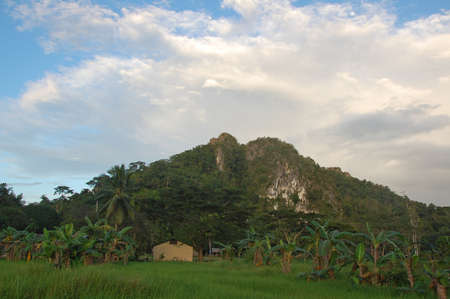 PALAWAN, PH -  NOV 29 - Mountain and trees scenic view at Ugong on November 29, 2009 in Puerto Princesa, Palawan, Philippines.のeditorial素材