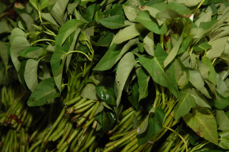 Water spinach kang kong green vegetable selling in public market